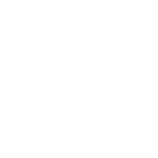 Instagram Icon White Townsweb Archiving