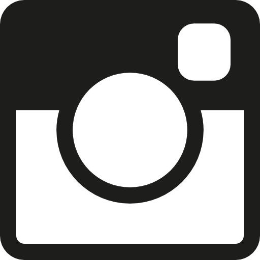 Instagram Icon
