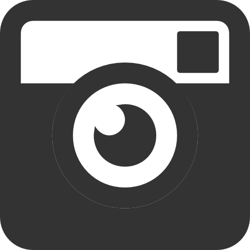 Social Networks Instagram Icon Free Download As Png