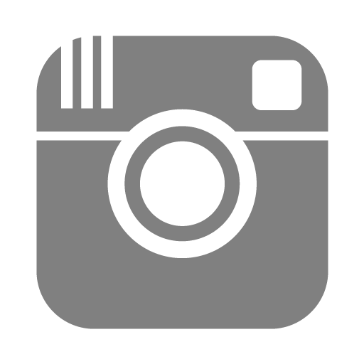 Instagram Icon Recruiter Zone