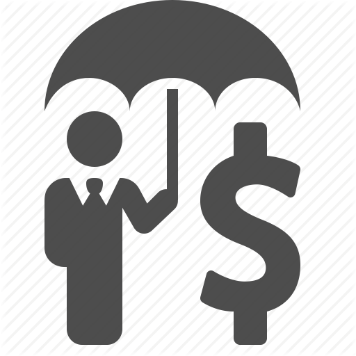 Money Insurance Icon
