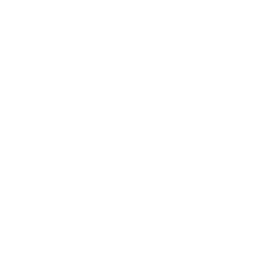 Internet Explorer Cookies