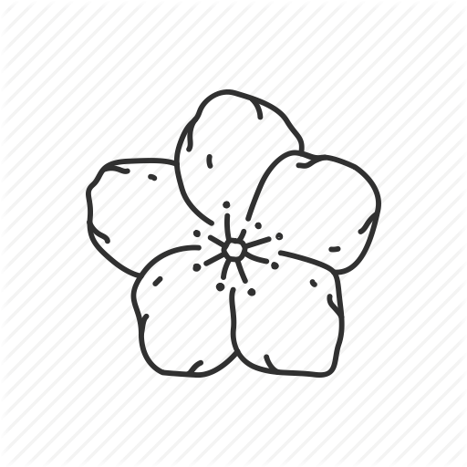 Flower, Iowa, State, State Flower, State Symbol, Usa, Wild Prairie