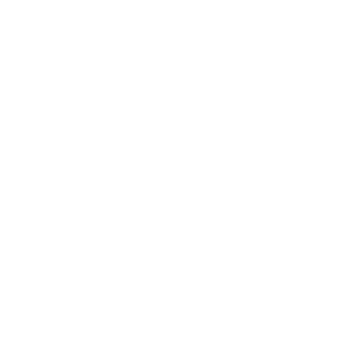 White Iphone Icon