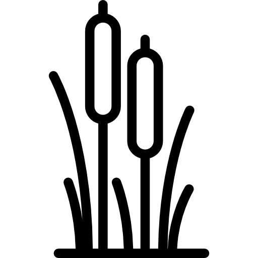 Reed Icons Free Download