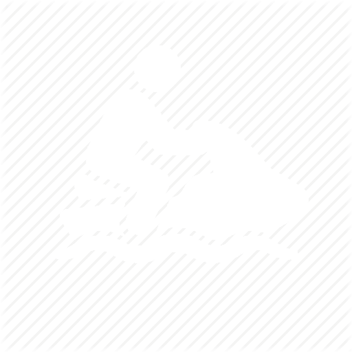 Sea Bird Water Sport