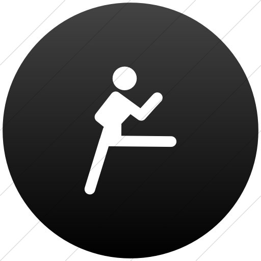 Flat Circle White On Black Gradient Sports Judo Icon