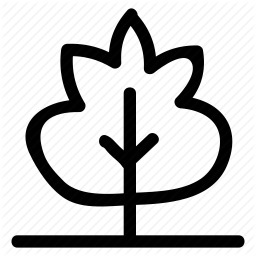 Forest, Garden, Jungle, Nature, Park, Plant, Tree Icon