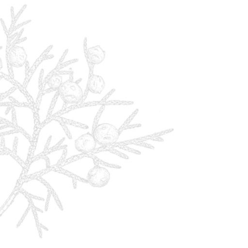 Cropped Juniper Icon Juniper Wellness