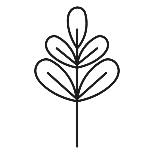 Branch With Palmate Leaves Icon