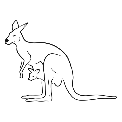Kangaroo And Joey Sketch