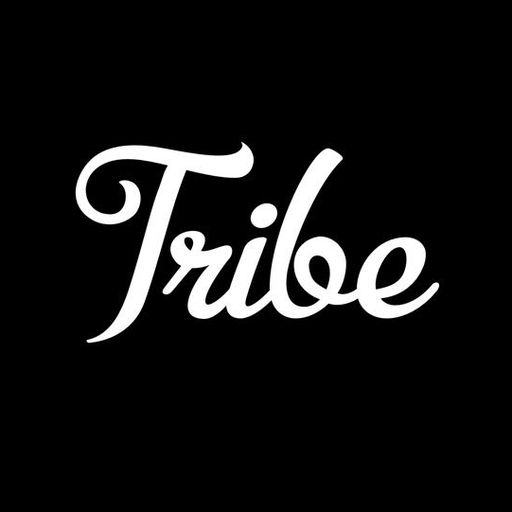 Kermit The Frog Tribe Amino