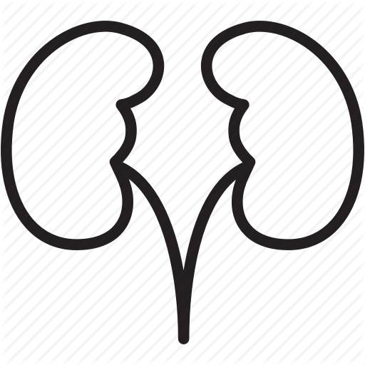 Kidney, Medical Icon