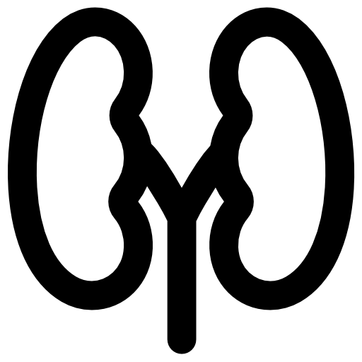 Kidney Icons Free Download