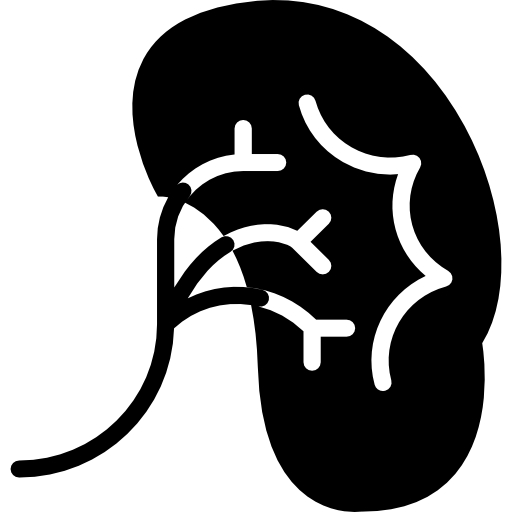 Kidney Icon