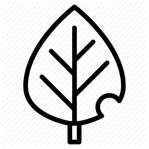 Botanical, Leaf, Leave, Plant Icon