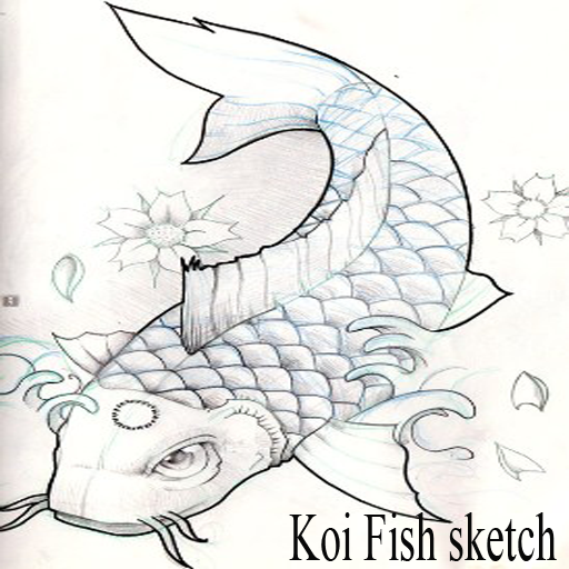 Koi Fish Sketch Apk