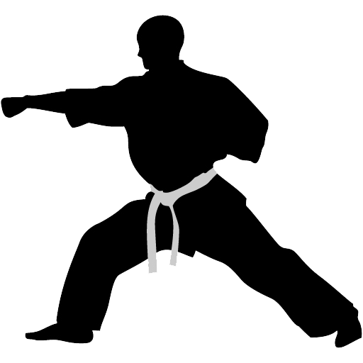 Karate Punch Icon