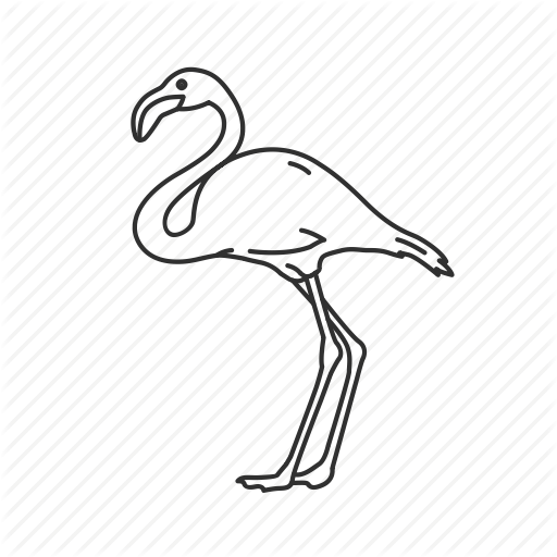 Bird, Flamingo, Large Bird Icon