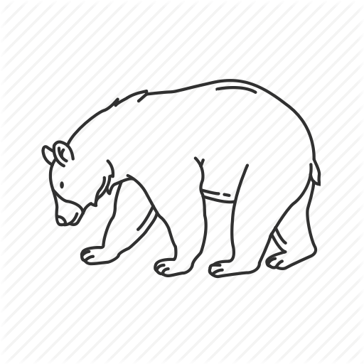 American Black Bear, Bear, Black Bear, Large Land Mammal, Ursidae