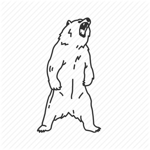 Bear, Brown Bear, Grizzly, Large Land Mammal, Ursidae Family