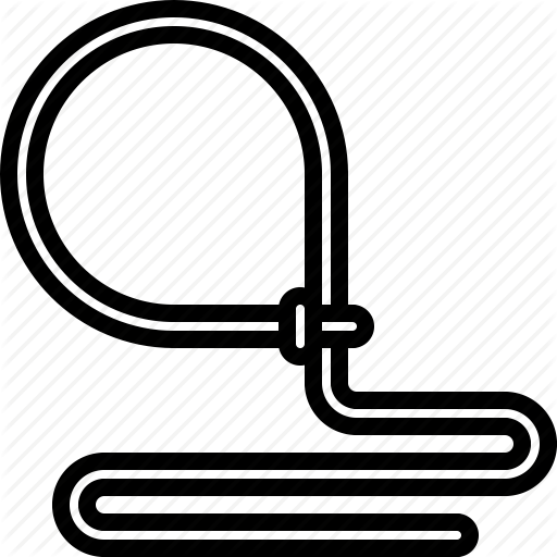 Cowboy, Lasso, Rope, West, Wild Icon