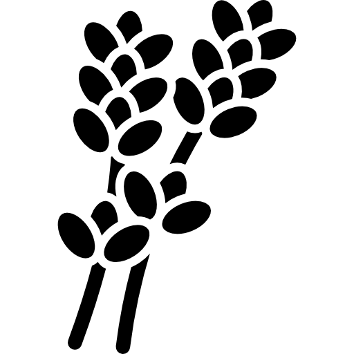 Lavender Icons Free Download