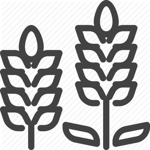 Flower, Hokkaido, Japan, Lavender Icon