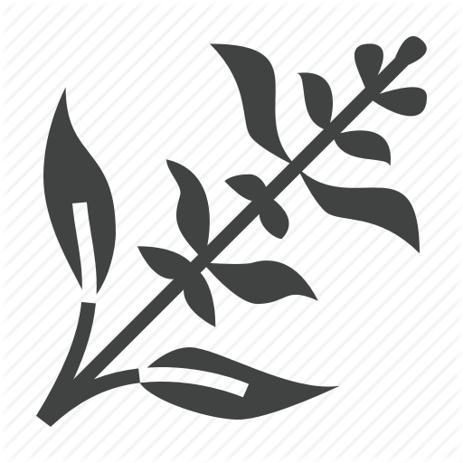 Herb, Lavender, Plant Icon