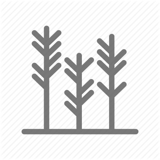 Grass, Grow, Lawn, Nature, Plant, Wheat Icon