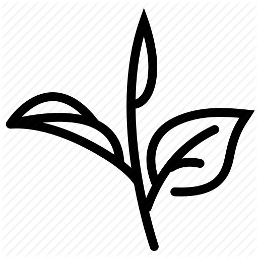 Grow, Harvest, Herb, Leaves, Tea, Tea Leaf, Tea Leaves Icon