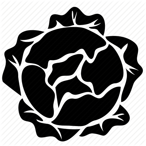 Healthy, Lettuce, Salad, Vegetable Icon