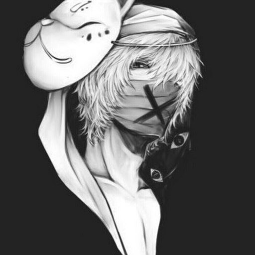 Theanimeboy Anime Amino