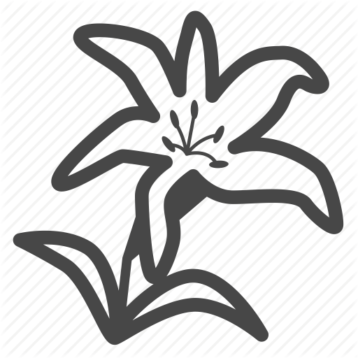 Bloom, Blossom, Floral, Flower, Flowering Plants, Lilium, Lily Icon