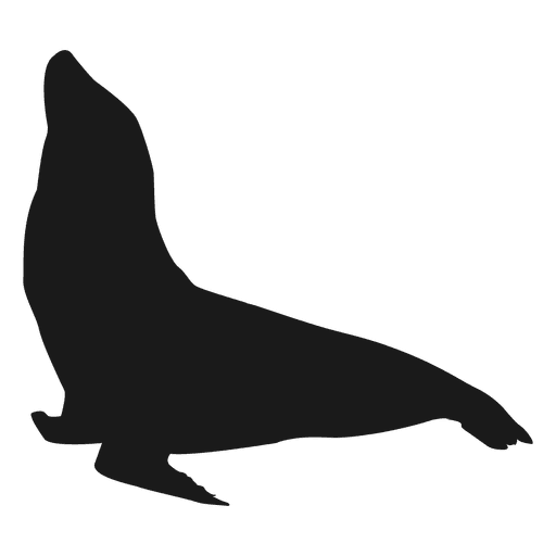 Sea Lion