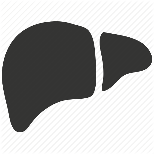 Hepatic, Hepatology, Human, Liver Icon