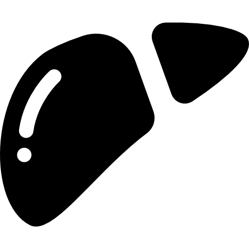 Liver Icons Free Download