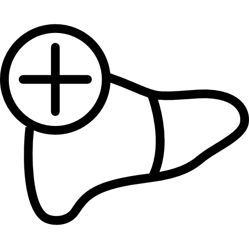 Liver Organ With A Plus Sign Icons Free Download