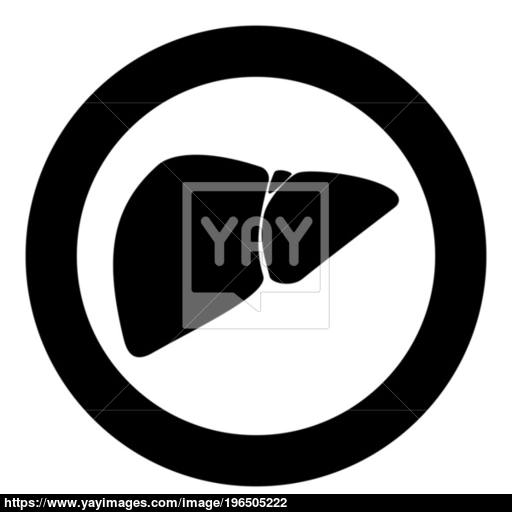 Liver The Black Color Icon In Circle Or Round Vector
