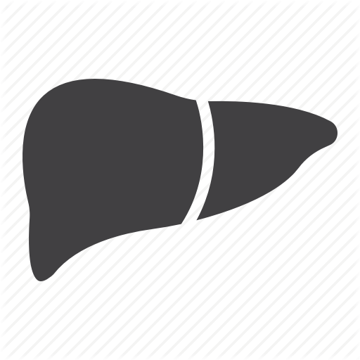 Anatomy, Healthcare, Hepatic, Human, Liver, Medicine, Organ Icon