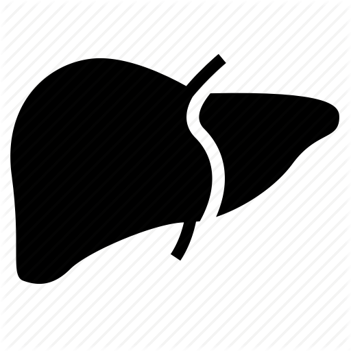 Body, Human, Liver, Organs Icon