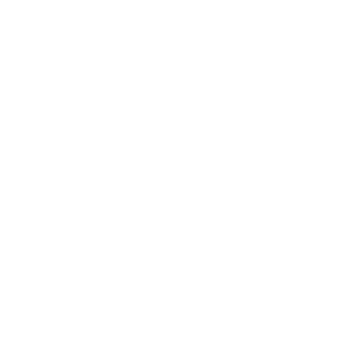 White Lock Icon