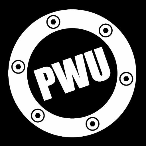 Pro Wrestling Ulster