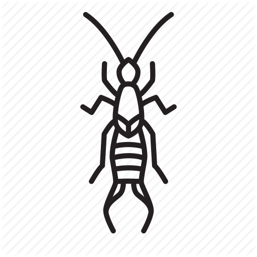 Animal, Bug, Bugs, Creature, Earwig, Insect Icon