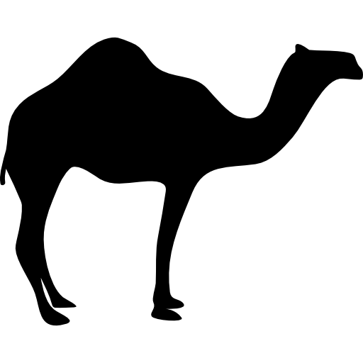 Dromedary Looking Right Icon Islamicons Freepik