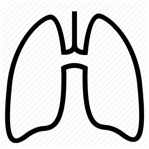 Lungs Icon
