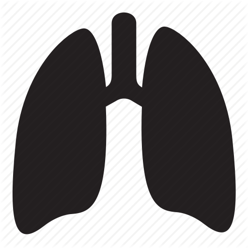 Lungs Vector Free Download On Unixtitan