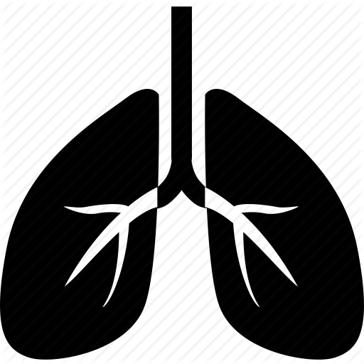 Breath, Breathe, Lungs Icon
