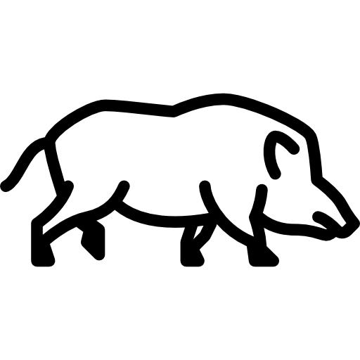 Lynx, Zoo, Animals, Animal Kingdom, Wild Life Icon