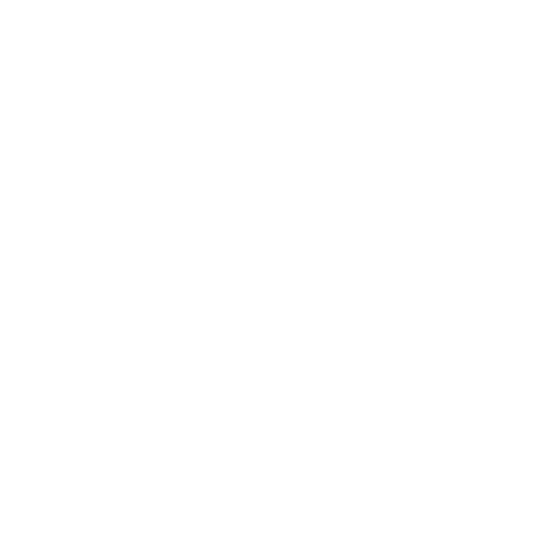 White Door Icon